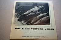 Whale and Porpoise Voices